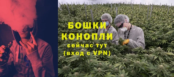 прущая мука Магас