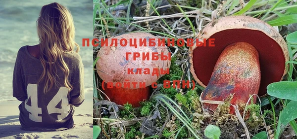 прущая мука Магас