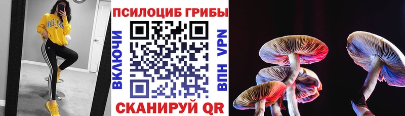 Псилоцибиновые грибы мухоморы  Нарьян-Мар 
