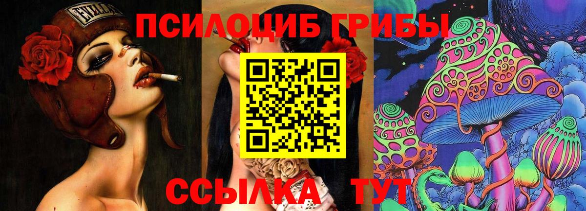 Псилоцибиновые грибы прущие грибы Нарьян-Мар