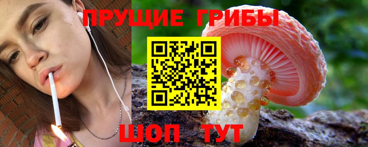 Нарьян-Мар  как найти наркотики  Вход с VPN  Галлюциногенные грибы Psilocybine cubensis 